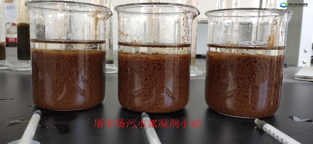 屠宰废水选择阳离子聚丙烯酰胺有什么效果？