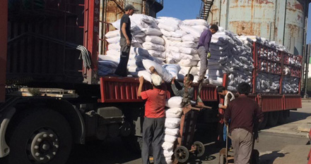 畅销多地 案例众多